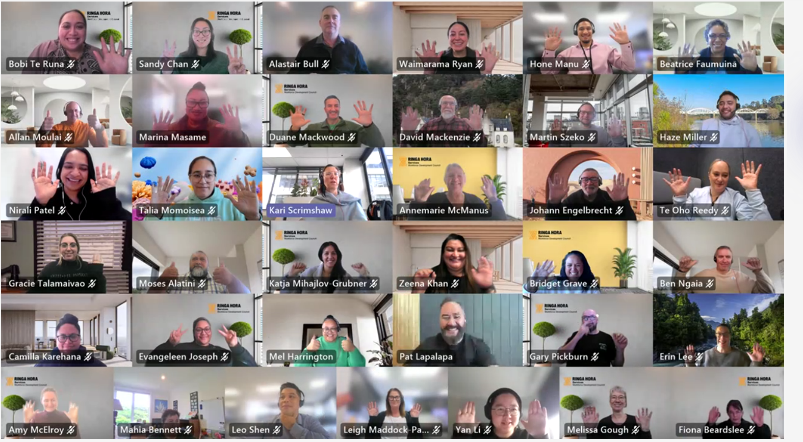 Screenshot of the online meeting with Pat Lapalapa and staff of Ringa Hora